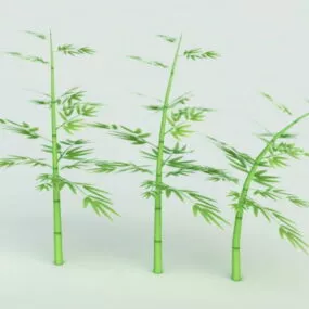 Bamboo Plants 3d model