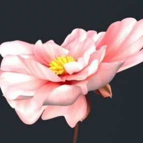 Big Pretty Flower 3d model