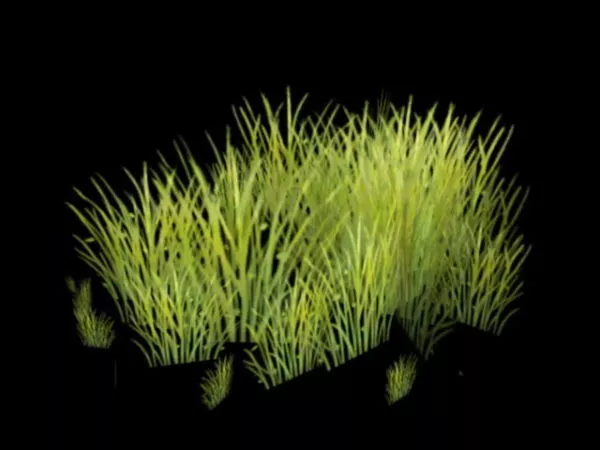 Grass Stack 3d model