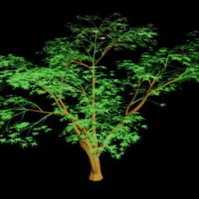 Cartoon Tree 3d model
