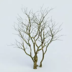 Dying Tree 3d model