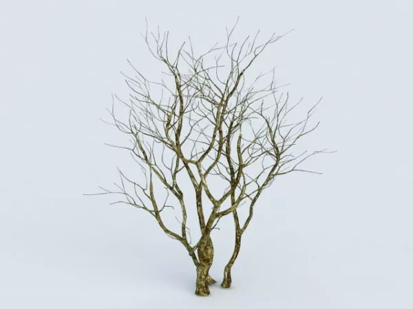 Dying Tree 3d model Dying Tree 3d model