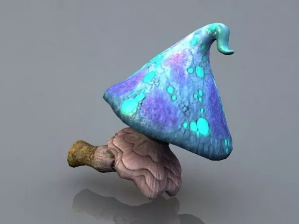 Fantasy Mushroom Scene 3d model
