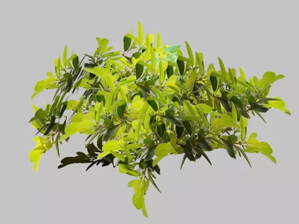 Tree Branches Hanger Decoration 3d model