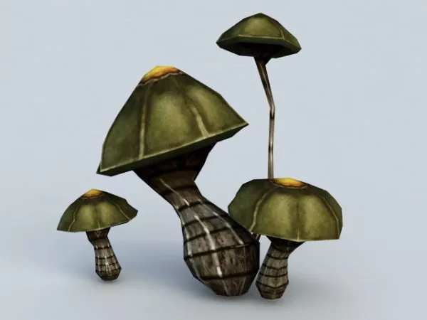 Black Mushrooms 3d model Black Mushrooms 3d model