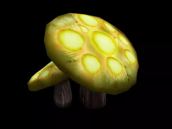Cave Mushroom 3d model