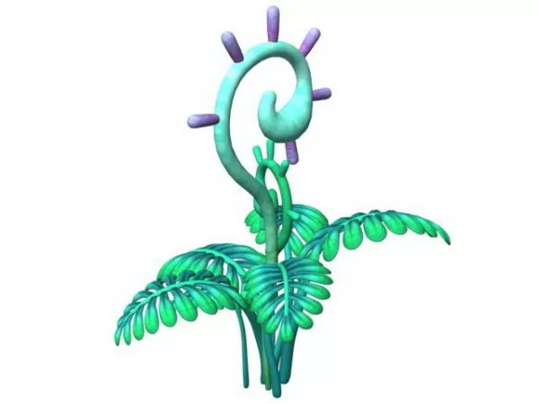 Realistic Fern Plant 3d model