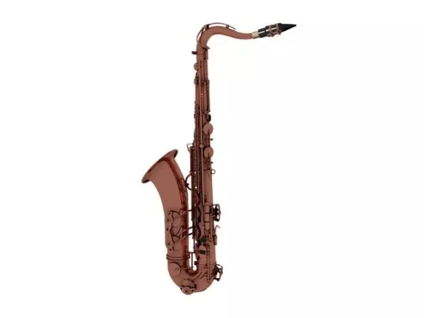 Lowpoly Soprano Cornet 3d model