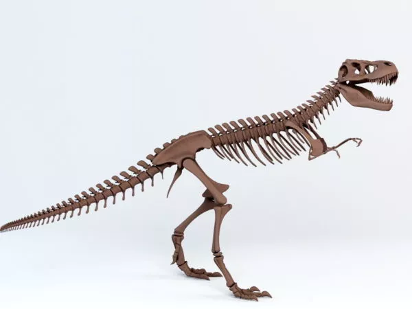 Animated Brontosaurus Dinosaur 3d model