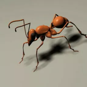 Red Ant 3d model