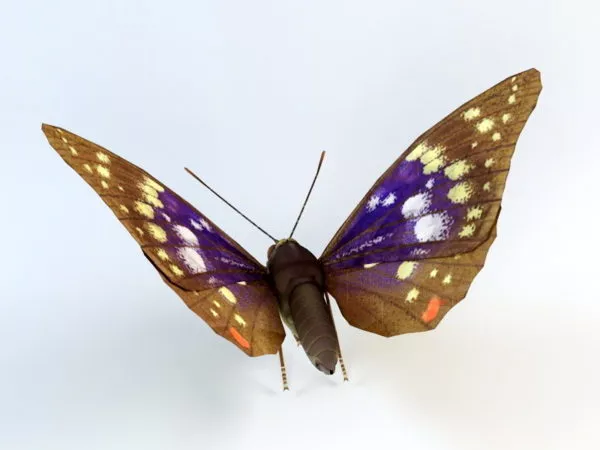Yellow Butterfly 3d model Yellow Butterfly 3d model