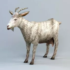 Low Poly Goat 3d model