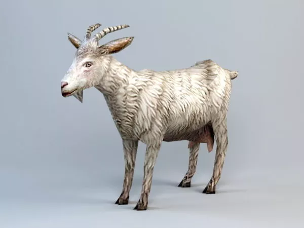 Low Poly Goat 3d model Low Poly Goat 3d model