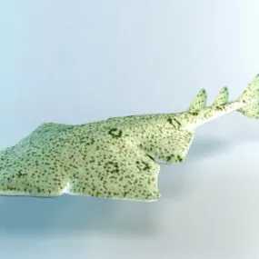 Angel Shark 3d model
