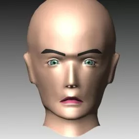 Animated Face Expressions 3d model