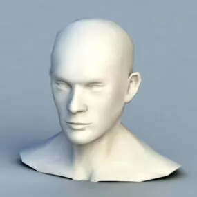 Man Bust Base Mesh 3d model
