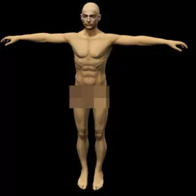 Strong Man Body 3d model