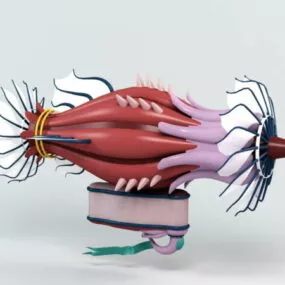 Fantasy Airship 3d model