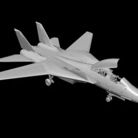 Grumman F-14 Fighter 3d model