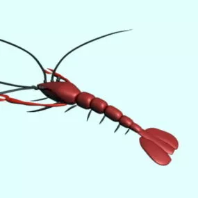 Red Prawn 3d model