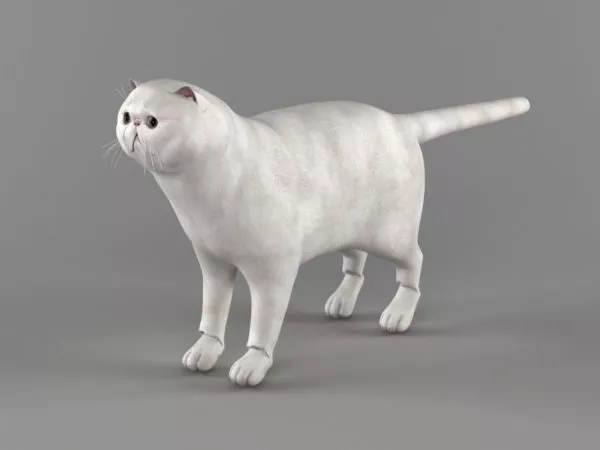 Black Cat Statue 3d model