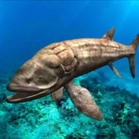 Leedsichthys Fish 3d model