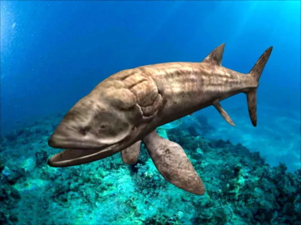 Leedsichthys Fish 3d model Leedsichthys Fish 3d model