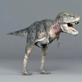 Tarbosaurus Dinosaur 3d model