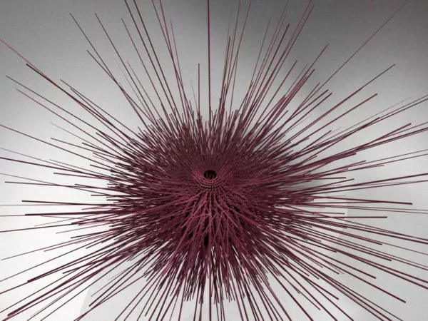 Sea Urchin 3d model Sea Urchin 3d model
