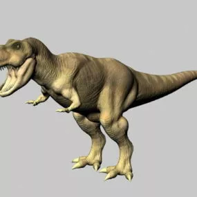 Tyrannosaurus Rex 3d model