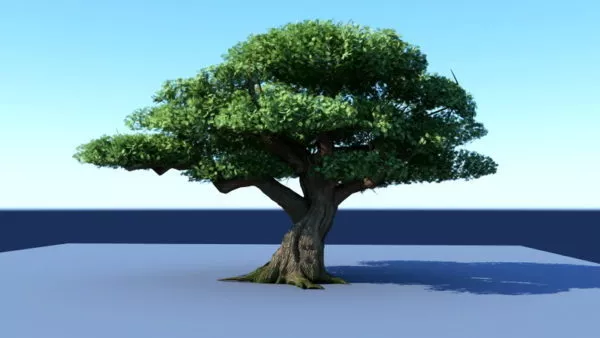 Big Tree 3d model Big Tree 3d model
