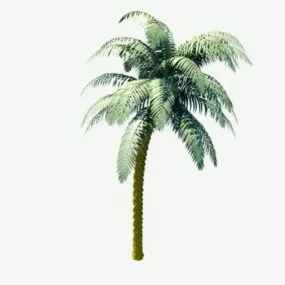 Palm Tree 3d model