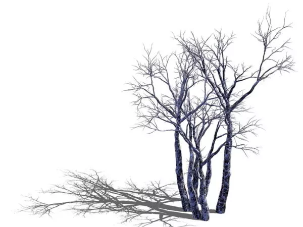 Old Dead Tree 3d model Old Dead Tree 3d model