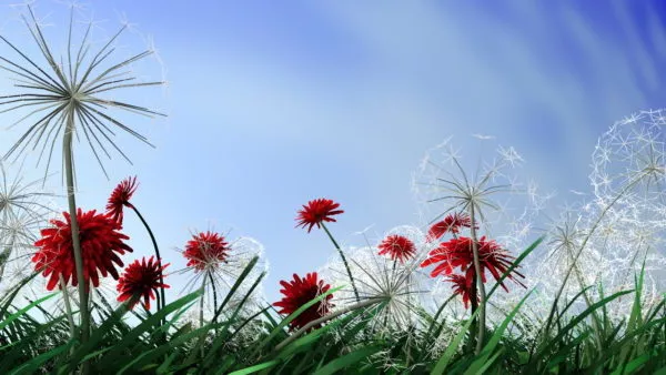 Dandelion Plant Flowers 3d model Dandelion Plant Flowers 3d model