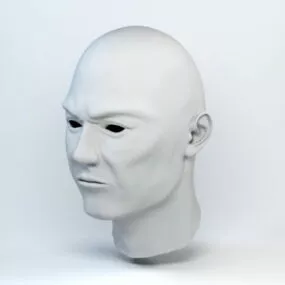 Male Head Base Mesh 3d model
