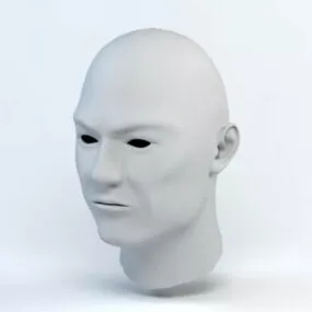 Male Head Base Mesh 3d model