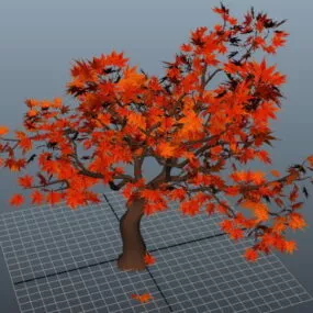 Red Maple Tree 3d model