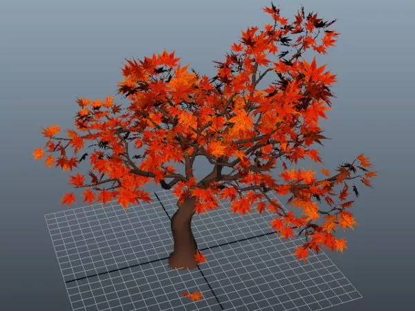 Red Maple Tree 3d model Red Maple Tree 3d model