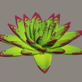 Echeveria Agavoides Ebony 3d model