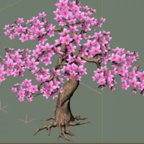 Flowering Peach Tree 3d model