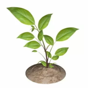 Little Tree 3d model