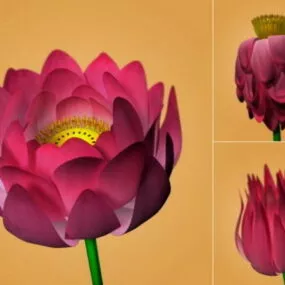 Lotus Flower Rig 3d model