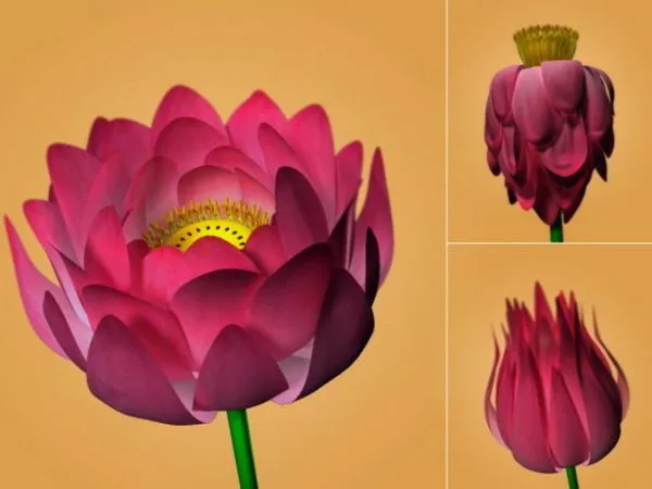Lotus Flower Rig 3d model Lotus Flower Rig 3d model