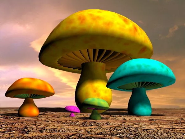 Fantasy Mushroom Scene 3d model