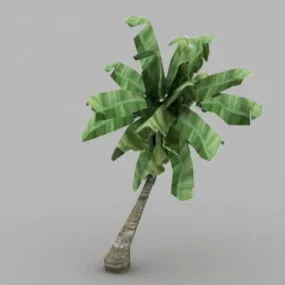 Banana Tree Plant 3d model