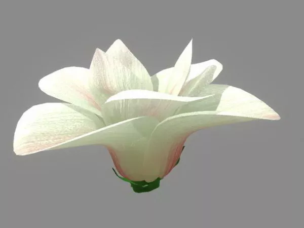White Flower 3d model White Flower 3d model