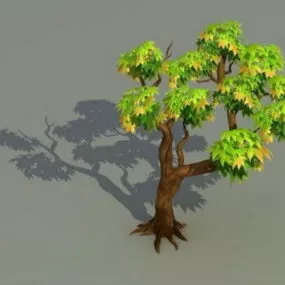 Maple Tree 3d model