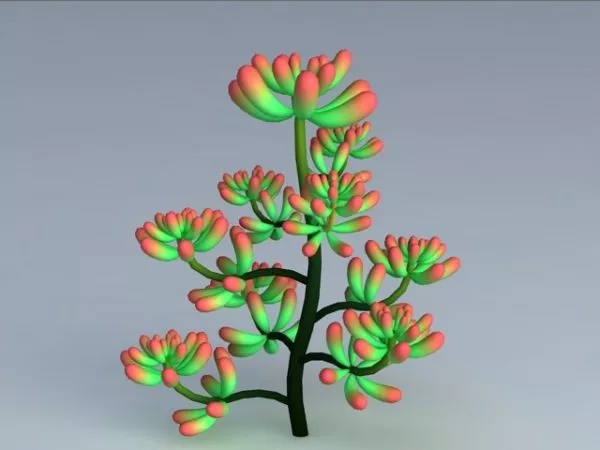 Sedum Pachyphyllum Plant 3d model Sedum Pachyphyllum Plant 3d model