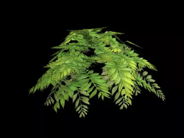 Small Green Bushes 3d model Small Green Bushes 3d model