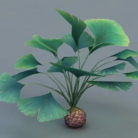 Tropical Broadleaf Plant 3d model